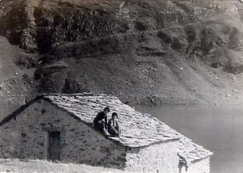 206valdilei_