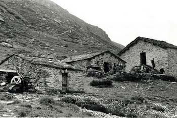 21valdilei_ (2)