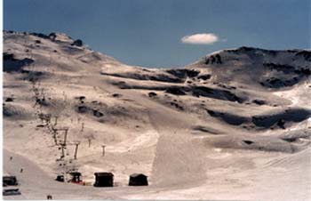 240 Cvaldilei_